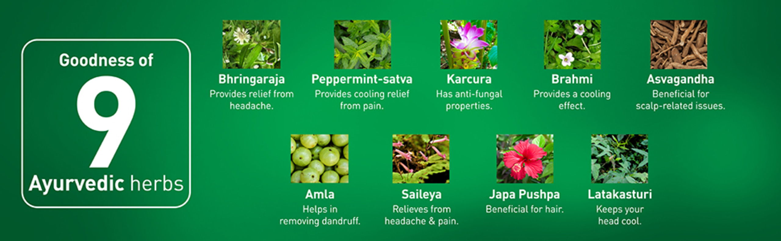 Navratna extra thanda ayurvedic oil ingredients